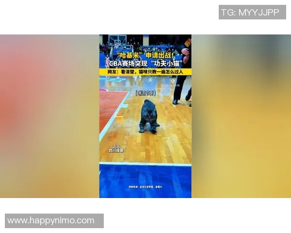 任骏飞：从青涩新星到CBA赛场的闪耀巨星之路