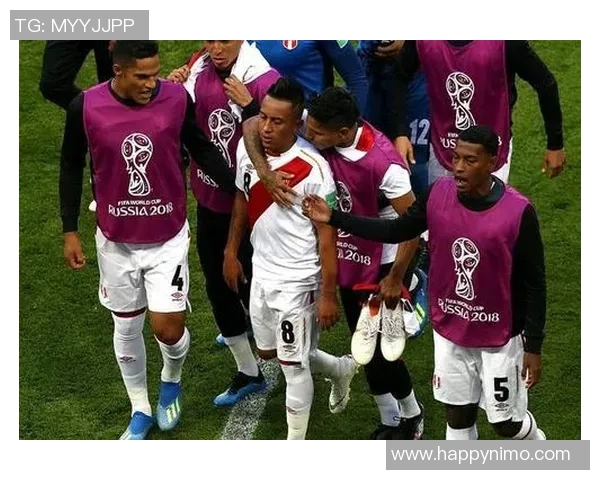 法国与秘鲁比赛亚盘分析与预测全面解读