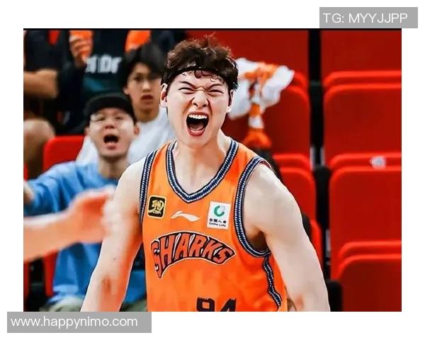 王哲林在CBA赛场的崛起与挑战解析，展望未来篮球生涯的无限可能